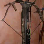 Crossbow hunting in wisconsin